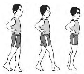 Forza88 | 14+ slot Gerakan Langkah Ke Samping Images