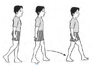 Forza88 | View slot Gerak Langkah Ke Samping Pictures