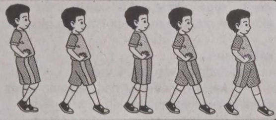 Forza88 | Download Contoh slot Gerak Langkah Silang Pics