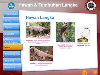 Forza88 | Get slot Pelestarian Hewan Dan Tumbuhan Langka Pics