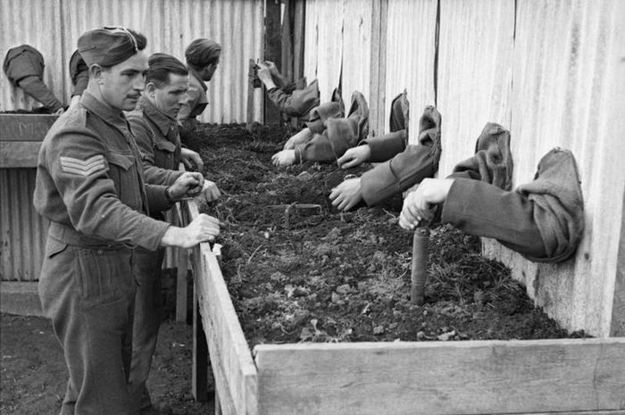 Forza88 | View slot Bunga Anggrek Langka Images