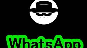 Forza88 | 45+ slot Unik Keren Kartun Images