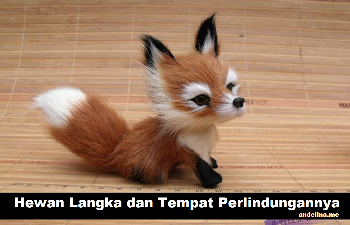 Forza88 | 44+ slot Hewan Langka Yang Dilindungi Pictures