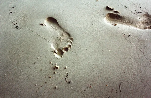 Forza88 | 21+ slot Langka Kaki Pics