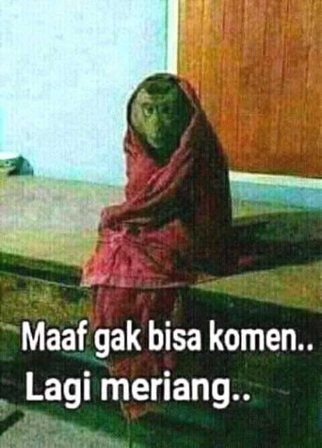 Forza88 | View Aneh slot Lucu Dan Unik Gif