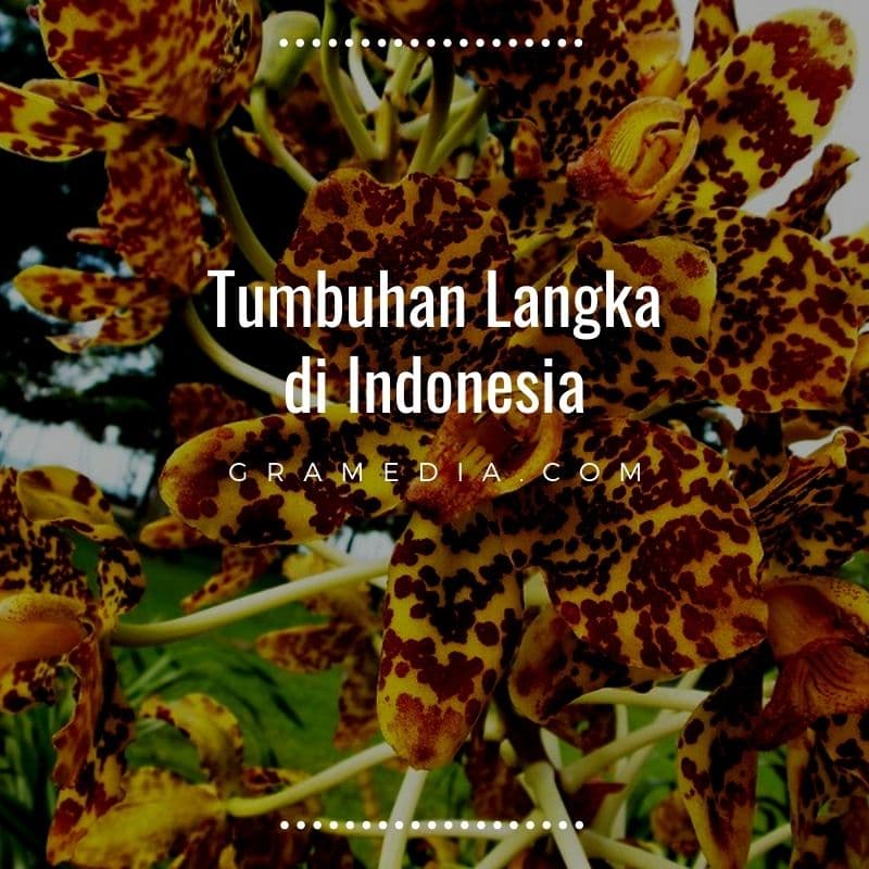 Forza88 | 37+ Tumbuhan Langka Di Indonesia (slot Keterangan) Gif